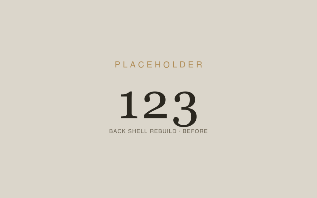 Lower Back Shell Reconstruction — Before